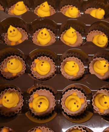 Screenshot20230426150903facebook